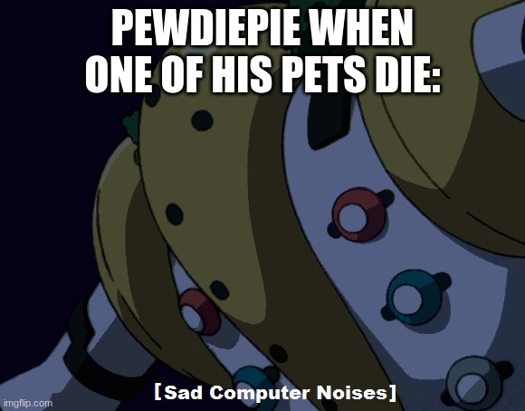 sad computer noises | PEWDIEPIE WHEN ONE OF HIS PETS DIE: | image tagged in sad,computer,noises | made w/ Imgflip meme maker
