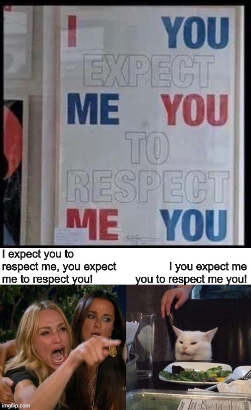 It took a few minutes -- follow the colors. | I expect you to respect me, you expect me to respect you! I you expect me you to respect me you! | image tagged in memes,woman yelling at cat,sign,funny,funny memes,respect | made w/ Imgflip meme maker