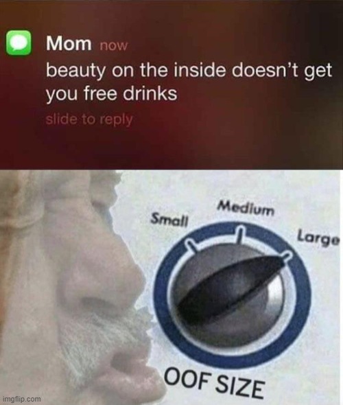 image tagged in oof size large,mom,savage,text,funny,memes | made w/ Imgflip meme maker