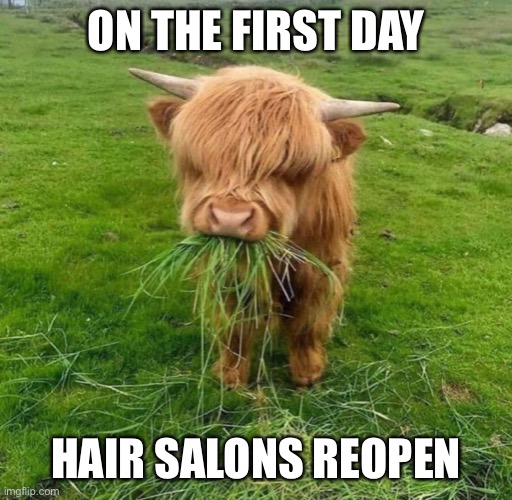 Hair salon reopen | ON THE FIRST DAY; HAIR SALONS REOPEN | image tagged in hairsalon | made w/ Imgflip meme maker