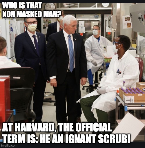 Typhoid Mary's Ignat AF Cousin | WHO IS THAT NON MASKED MAN? AT HARVARD, THE OFFICIAL TERM IS: HE AN IGNANT SCRUB! | image tagged in typhoid mary's dumber cousin | made w/ Imgflip meme maker