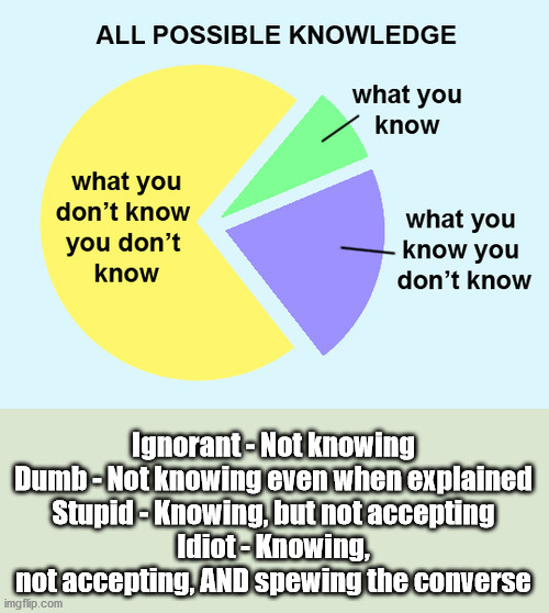 Knowing that you KNOW | Ignorant - Not knowing
Dumb - Not knowing even when explained
Stupid - Knowing, but not accepting
Idiot - Knowing, not accepting, AND spewing the converse | image tagged in ignoarant,dumb,stupid,idiot,election | made w/ Imgflip meme maker