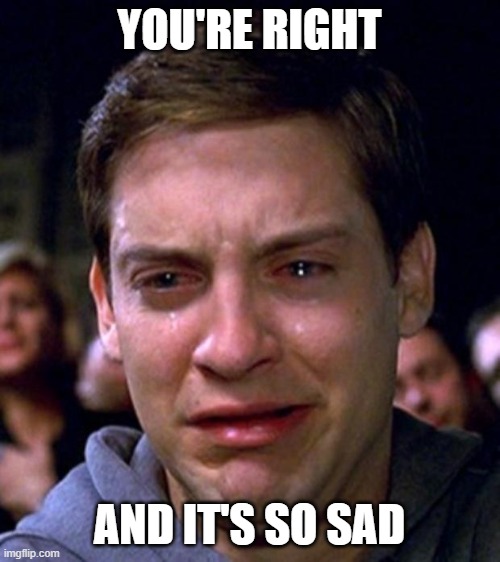 crying peter parker | YOU'RE RIGHT AND IT'S SO SAD | image tagged in crying peter parker | made w/ Imgflip meme maker