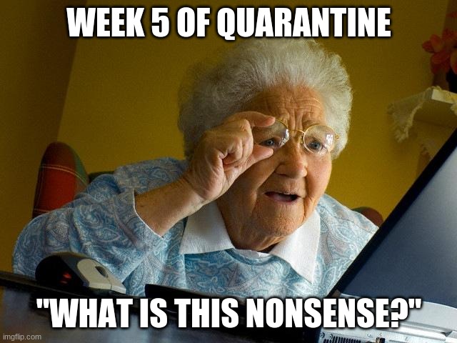 Grandma Finds The Internet | WEEK 5 OF QUARANTINE; "WHAT IS THIS NONSENSE?" | image tagged in memes,grandma finds the internet | made w/ Imgflip meme maker