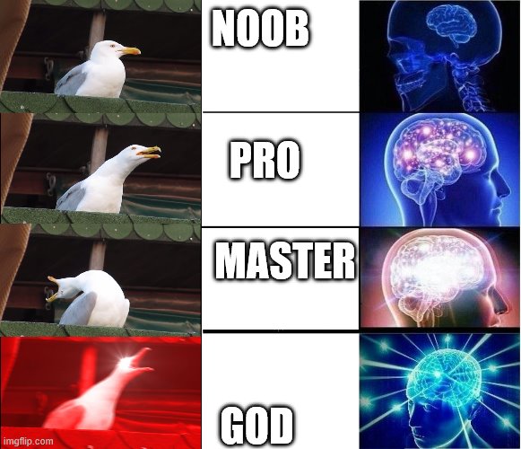 Minecraft reimagined | NOOB; PRO; MASTER; GOD | image tagged in memes,expanding brain,inhaling seagull | made w/ Imgflip meme maker