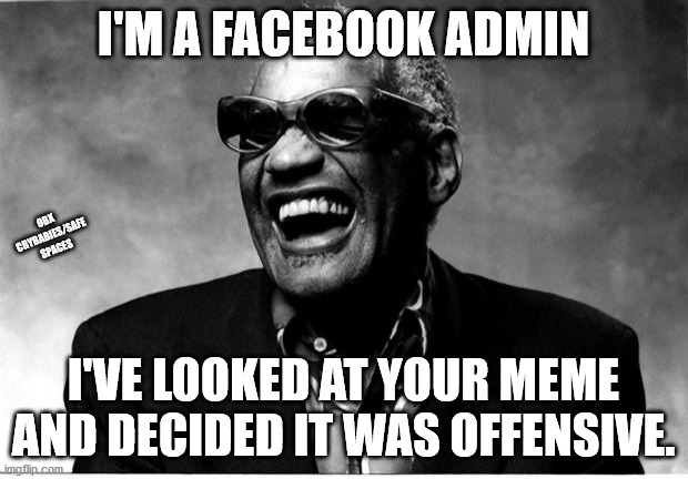 I did "not see" that coming | I'M A FACEBOOK ADMIN; OBX CRYBABIES/SAFE SPACES; I'VE LOOKED AT YOUR MEME AND DECIDED IT WAS OFFENSIVE. | image tagged in ray charles,facebork | made w/ Imgflip meme maker