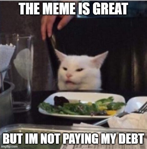 only the cat | THE MEME IS GREAT BUT IM NOT PAYING MY DEBT | image tagged in only the cat | made w/ Imgflip meme maker