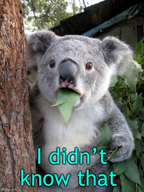 Surprised Koala Meme | I didn’t know that | image tagged in memes,surprised koala | made w/ Imgflip meme maker