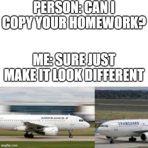Make it look different | PERSON: CAN I COPY YOUR HOMEWORK? ME: SURE JUST MAKE IT LOOK DIFFERENT | image tagged in memes,airplane | made w/ Imgflip meme maker