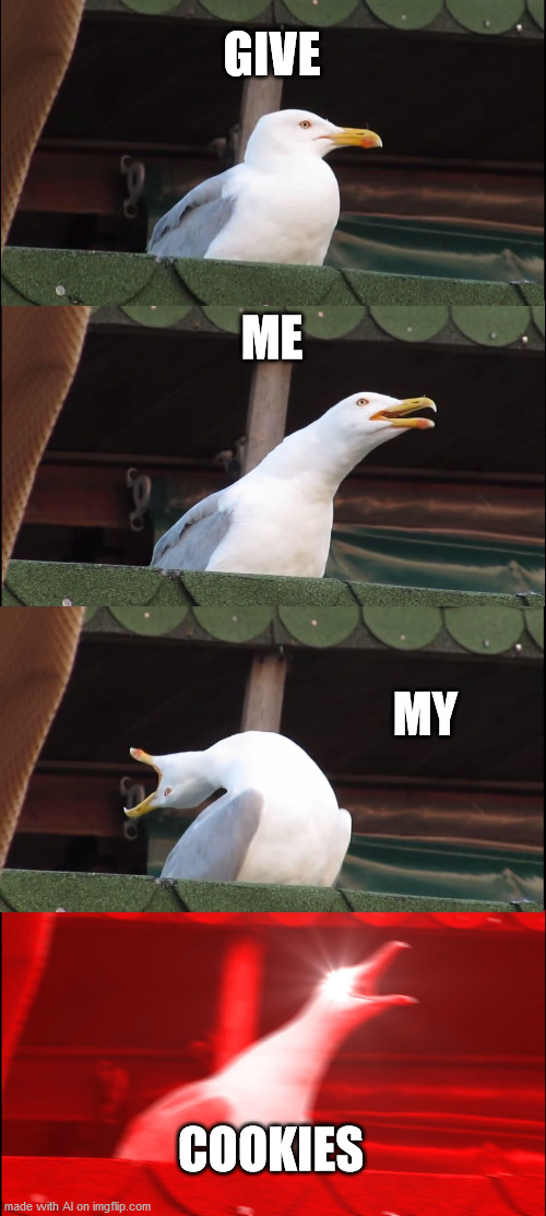 Inhaling Seagull Meme | GIVE; ME; MY; COOKIES | image tagged in memes,inhaling seagull | made w/ Imgflip meme maker