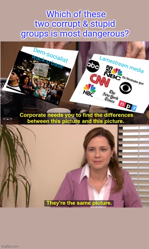 They're The Same Picture Meme | Which of these two corrupt & stupid groups is most dangerous? Dem-socialist wack-o base; Lamestream media | image tagged in democratic socialism,cnn sucks,libtards,losers,democratic party,sucks | made w/ Imgflip meme maker