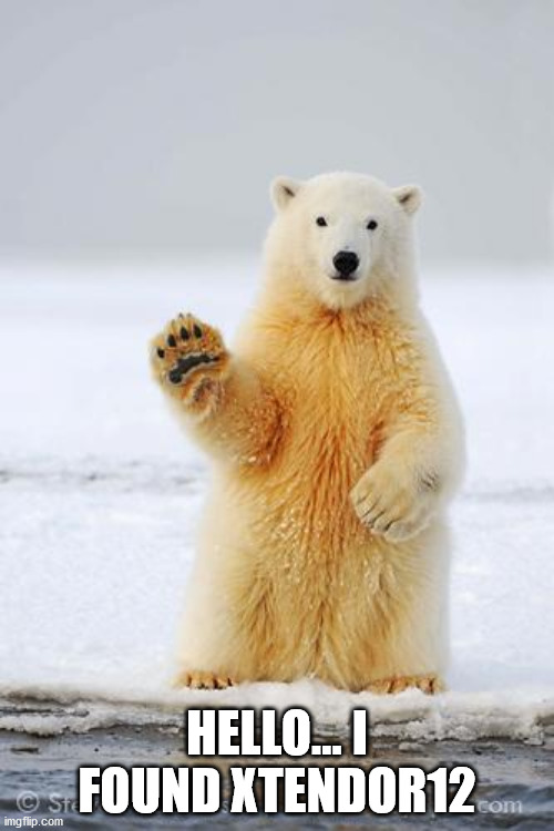 hello polar bear | HELLO... I FOUND XTENDOR12 | image tagged in hello polar bear | made w/ Imgflip meme maker