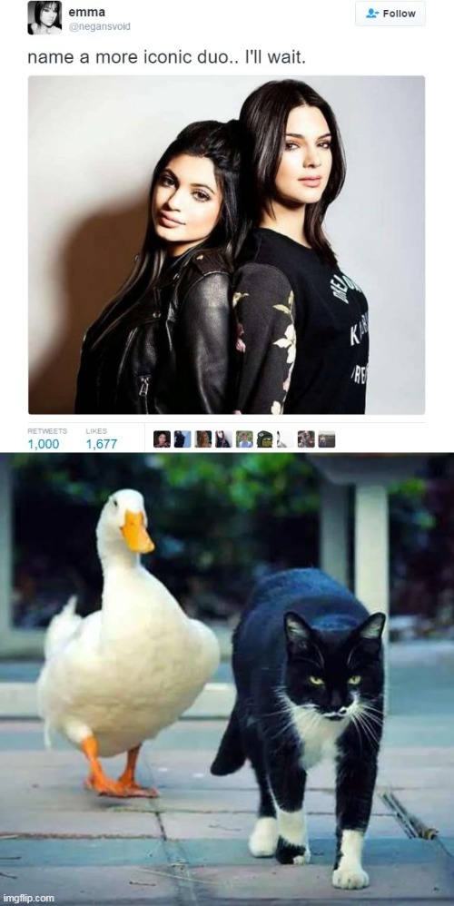 Ememeon and Productive Duck | image tagged in name a more iconic duo | made w/ Imgflip meme maker