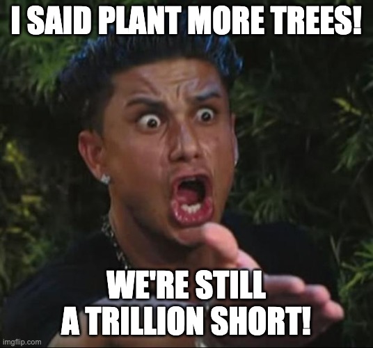 DJ Pauly Pissed! | I SAID PLANT MORE TREES! WE'RE STILL A TRILLION SHORT! | image tagged in memes,dj pauly d,trees,plant,trillion | made w/ Imgflip meme maker