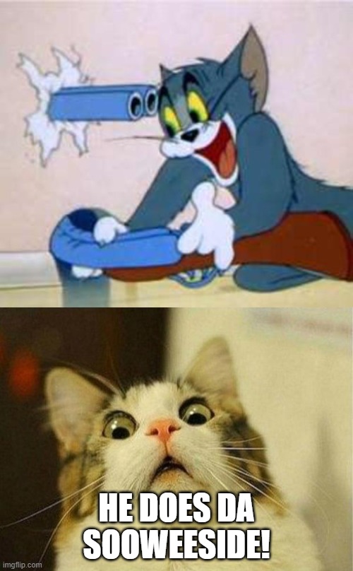 HE DOES DA SOOWEESIDE! | image tagged in memes,scared cat,tom the cat shooting himself | made w/ Imgflip meme maker