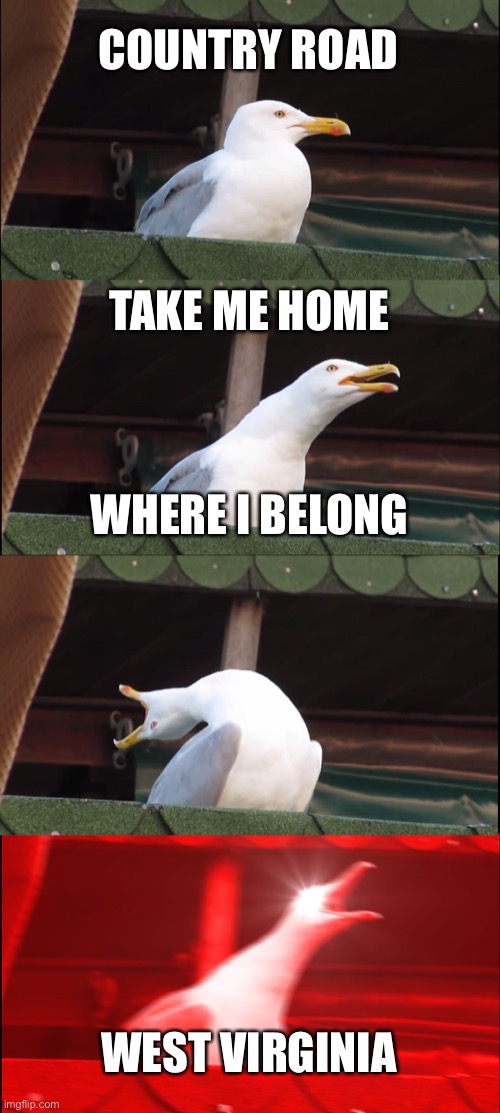 Inhaling Seagull | COUNTRY ROAD; TAKE ME HOME; WHERE I BELONG; WEST VIRGINIA | image tagged in memes,inhaling seagull | made w/ Imgflip meme maker