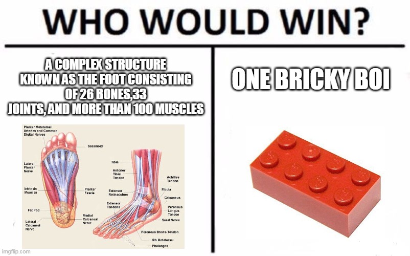 Who Would Win? Meme | A COMPLEX STRUCTURE KNOWN AS THE FOOT CONSISTING OF 26 BONES,33 JOINTS, AND MORE THAN 100 MUSCLES; ONE BRICKY BOI | image tagged in memes,who would win | made w/ Imgflip meme maker