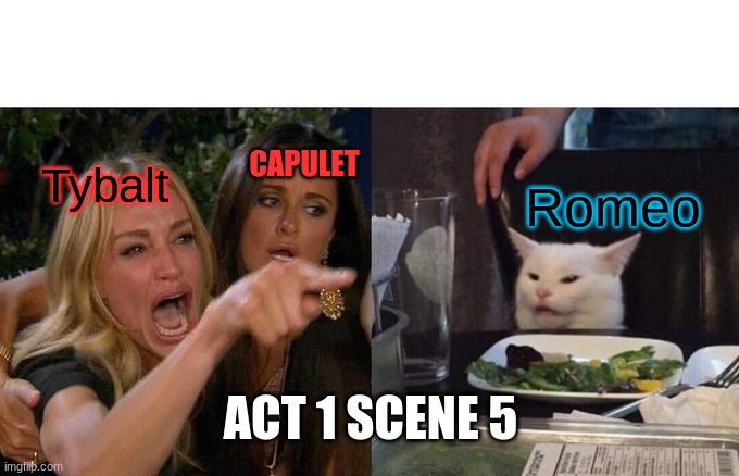Woman Yelling At Cat | Tybalt; CAPULET; Romeo; ACT 1 SCENE 5 | image tagged in memes,woman yelling at cat | made w/ Imgflip meme maker