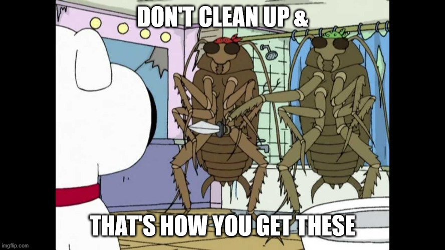 Roaches | DON'T CLEAN UP &; THAT'S HOW YOU GET THESE | image tagged in bad roaches | made w/ Imgflip meme maker