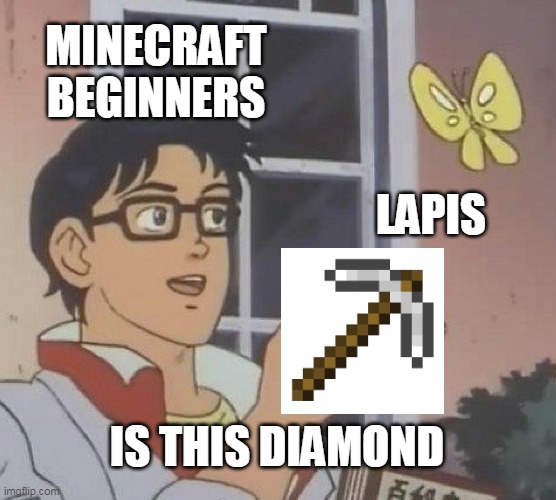 when you find lapis and your a minecraft beginner | MINECRAFT BEGINNERS; LAPIS; IS THIS DIAMOND | image tagged in memes,is this a pigeon | made w/ Imgflip meme maker