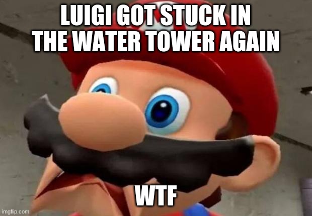 Mario WTF | LUIGI GOT STUCK IN THE WATER TOWER AGAIN; WTF | image tagged in mario wtf | made w/ Imgflip meme maker