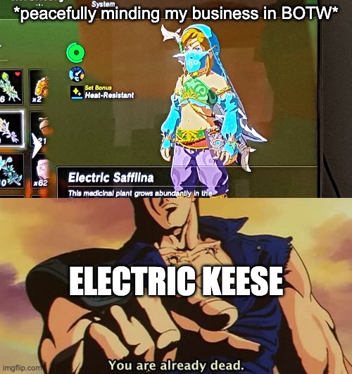 electric keeses be like | *peacefully minding my business in BOTW*; ELECTRIC KEESE | image tagged in the legend of zelda breath of the wild | made w/ Imgflip meme maker