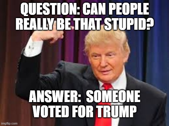 Someone voted for Trump | QUESTION: CAN PEOPLE REALLY BE THAT STUPID? ANSWER:  SOMEONE VOTED FOR TRUMP | image tagged in trump,dumbass,worst ever,covid-19,economic disater,ruined america | made w/ Imgflip meme maker