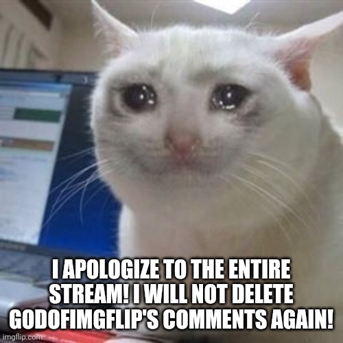 A message from GrilledCheez: You think this is enough? There's more you did wrong than just this, you know. | I APOLOGIZE TO THE ENTIRE STREAM! I WILL NOT DELETE GODOFIMGFLIP'S COMMENTS AGAIN! | image tagged in sad cat tears | made w/ Imgflip meme maker