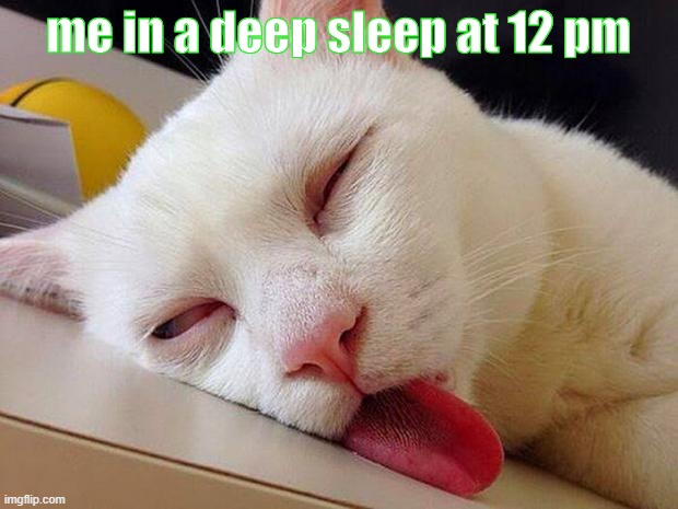 Sleeping cat | me in a deep sleep at 12 pm | image tagged in sleeping cat | made w/ Imgflip meme maker