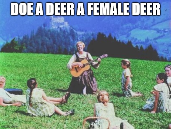 Sound of Music | DOE A DEER A FEMALE DEER | image tagged in sound of music | made w/ Imgflip meme maker