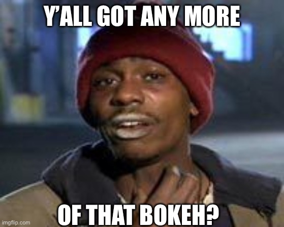 Tyrone Biggums The Addict | Y’ALL GOT ANY MORE; OF THAT BOKEH? | image tagged in tyrone biggums the addict | made w/ Imgflip meme maker