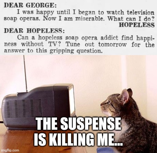 THE SUSPENSE IS KILLING ME... | image tagged in cat watching tv,memes,newspaper,funny | made w/ Imgflip meme maker