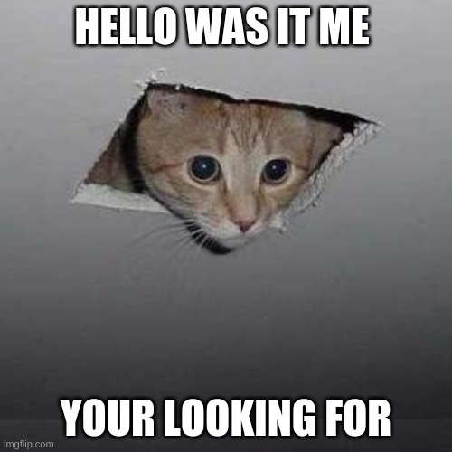 Hello | HELLO WAS IT ME; YOUR LOOKING FOR | image tagged in memes,ceiling cat | made w/ Imgflip meme maker