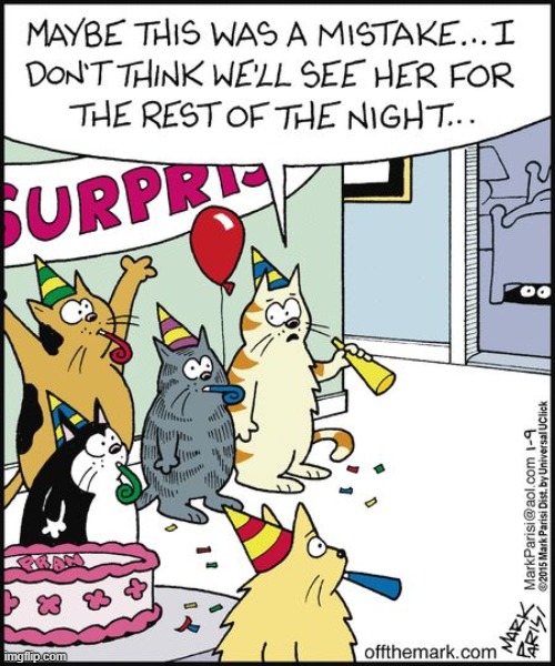 Surprise Party | image tagged in memes,comics,comics/cartoons,cats,surprise party | made w/ Imgflip meme maker