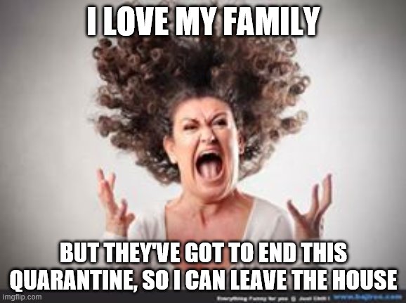 Crazy woman | I LOVE MY FAMILY; BUT THEY'VE GOT TO END THIS QUARANTINE, SO I CAN LEAVE THE HOUSE | image tagged in crazy woman | made w/ Imgflip meme maker