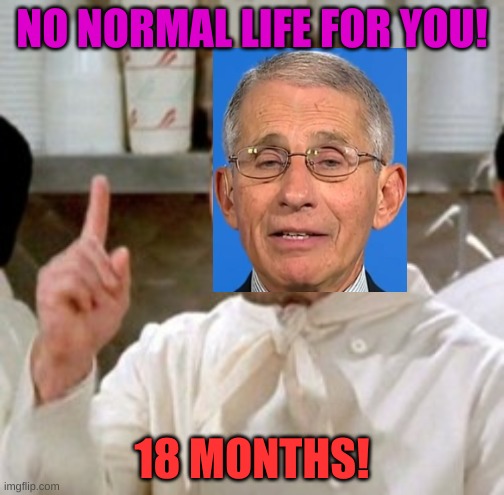 The Soup Fauci | NO NORMAL LIFE FOR YOU! 18 MONTHS! | image tagged in soup nazi | made w/ Imgflip meme maker