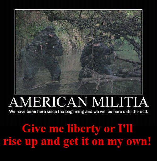 People Sleep Peacefully in Their Beds at Night Only Because Rough Men Stand Ready to Do Violence on Their Behalf | Give me liberty or I'll rise up and get it on my own! | image tagged in liberty,freedom,life liberty pursuit of happiness,2nd amendment,sheepdogs,militia | made w/ Imgflip meme maker