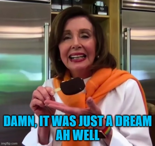 DAMN, IT WAS JUST A DREAM
AH WELL | made w/ Imgflip meme maker