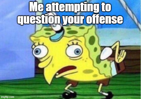 Mocking Spongebob Meme | Me attempting to question your offense | image tagged in memes,mocking spongebob | made w/ Imgflip meme maker