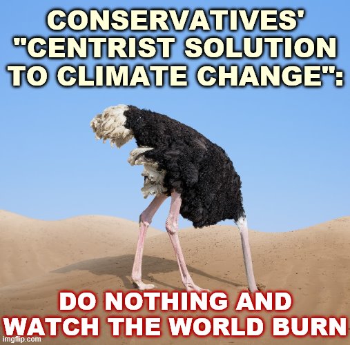 I proposed a carbon tax and was called a left-winger. I asked what their "centrist solution" was, and they said do nothing. | CONSERVATIVES' "CENTRIST SOLUTION TO CLIMATE CHANGE":; DO NOTHING AND WATCH THE WORLD BURN | image tagged in ostrich head in sand,climate change,global warming,climate,conservative logic,conservatives | made w/ Imgflip meme maker