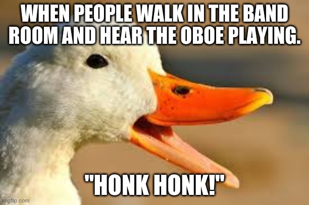 Oboes are Ducks | WHEN PEOPLE WALK IN THE BAND ROOM AND HEAR THE OBOE PLAYING. "HONK HONK!" | image tagged in oboesareducks | made w/ Imgflip meme maker