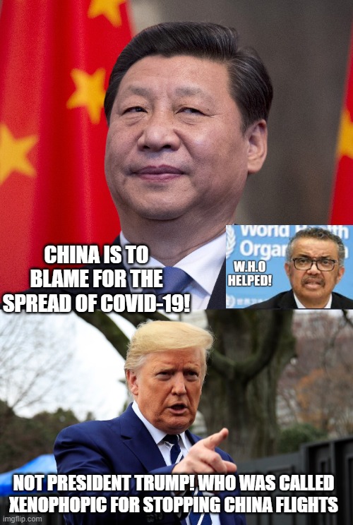 China is to Blame for COVID 19!  Not President Trump! | CHINA IS TO BLAME FOR THE SPREAD OF COVID-19! NOT PRESIDENT TRUMP! WHO WAS CALLED XENOPHOPIC FOR STOPPING CHINA FLIGHTS | image tagged in china,trump | made w/ Imgflip meme maker