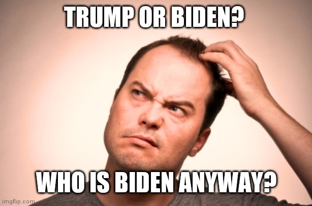 puzzled man | TRUMP OR BIDEN? WHO IS BIDEN ANYWAY? | image tagged in puzzled man | made w/ Imgflip meme maker