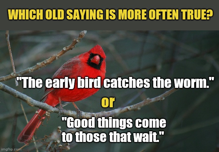 Which old saying? | WHICH OLD SAYING IS MORE OFTEN TRUE? or; "The early bird catches the worm."; "Good things come to those that wait." | image tagged in cardinal bird,adages,old saying,wisdom | made w/ Imgflip meme maker