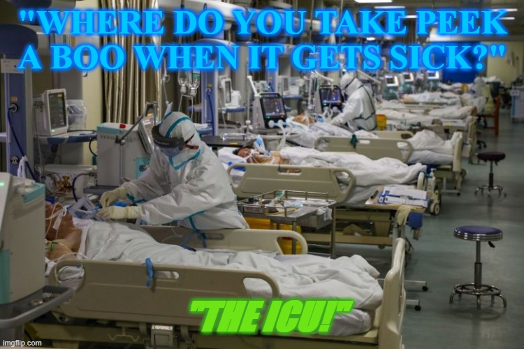 Hospital Jokes | "WHERE DO YOU TAKE PEEK A BOO WHEN IT GETS SICK?"; "THE ICU!" | image tagged in icu | made w/ Imgflip meme maker