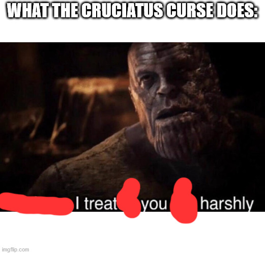 Perhaps I treated you too harshly | WHAT THE CRUCIATUS CURSE DOES: | image tagged in perhaps i treated you too harshly,anti meme | made w/ Imgflip meme maker