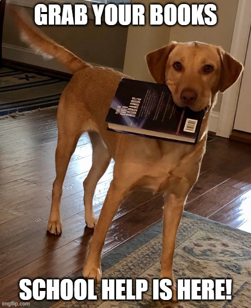 School Help | GRAB YOUR BOOKS; SCHOOL HELP IS HERE! | image tagged in dog | made w/ Imgflip meme maker