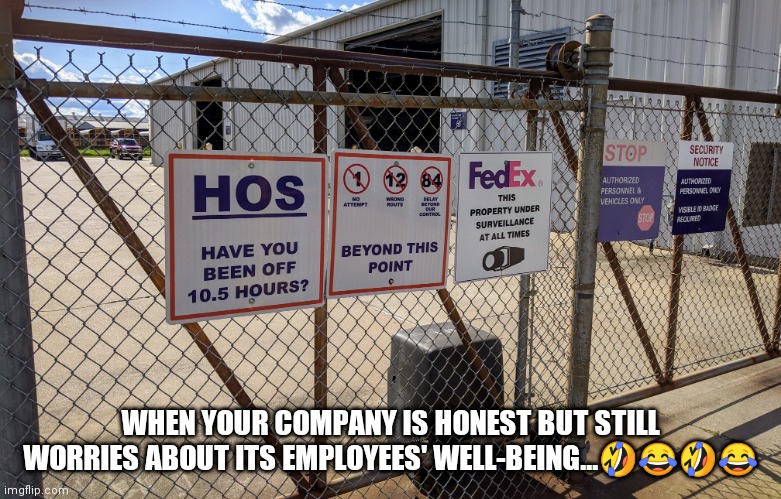 FedEx Hos | WHEN YOUR COMPANY IS HONEST BUT STILL WORRIES ABOUT ITS EMPLOYEES' WELL-BEING...🤣😂🤣😂 | image tagged in fedex,hoes | made w/ Imgflip meme maker