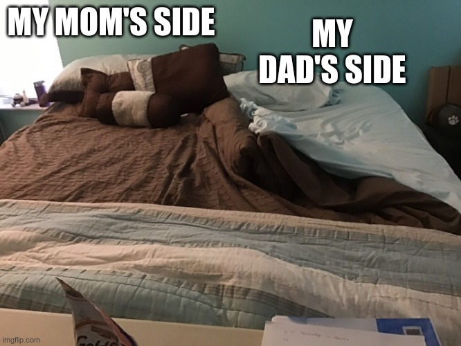 My moms side and my dad's side | MY DAD'S SIDE; MY MOM'S SIDE | image tagged in bedroom | made w/ Imgflip meme maker