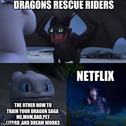 HTTYD Thumbs up | DRAGONS RESCUE RIDERS; NETFLIX; THE OTHER HOW TO TRAIN YOUR DRAGON SAGA 
ME,MOM,DAD,PET LIZARD ,AND DREAM WORKS | image tagged in httyd thumbs up | made w/ Imgflip meme maker